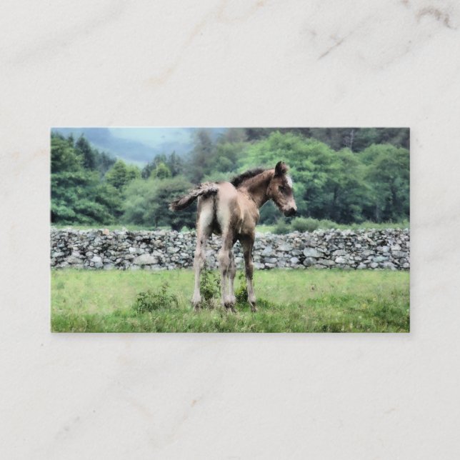 TARJETA DE VISITA HORSE (Anverso)