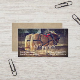 Tarjeta De Visita Horse Ranch Clydesdale Business Card