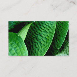 Tarjeta De Visita Hosta Leaves