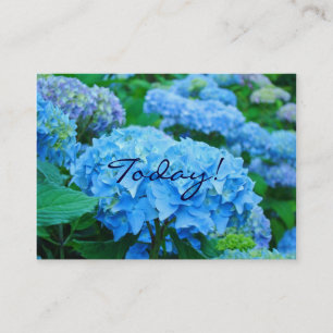 Tarjeta De Visita ¡Hoy! Ama a los Demás! Flores de Hortensia Azules