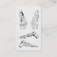 Huesos humanos de la anatomía del viejo arte