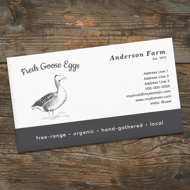 Tarjeta De Visita Huevos de ganso frescos de granja simples (Simple Farm Fresh Goose Eggs Business Card)