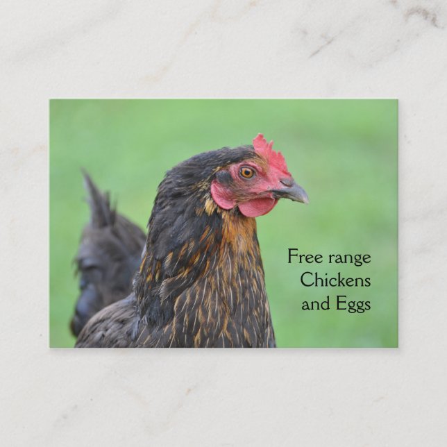 Tarjeta De Visita Huevos de pollo negros de gama libre (Anverso)