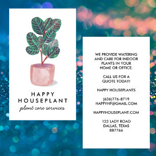 Tarjeta De Visita Humana Calathea Prayer Plant Gardening
