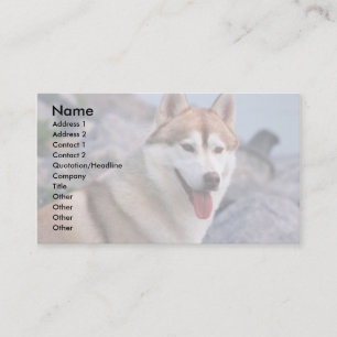 Tarjeta De Visita Husky siberiano