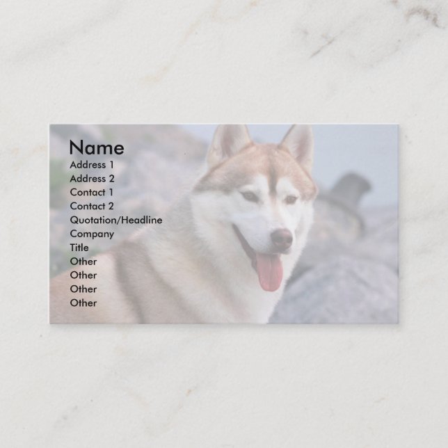 Tarjeta De Visita Husky siberiano (Anverso)