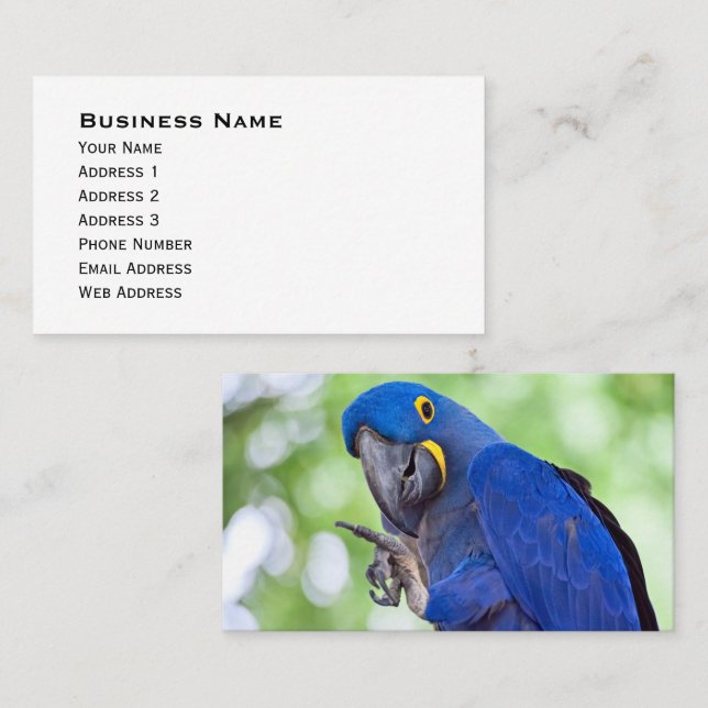 Tarjeta De Visita Hyacinth Macaw Bird (Anverso / Reverso)