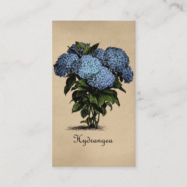 Tarjeta De Visita Hydrangeas Vintage Botánico (Anverso)