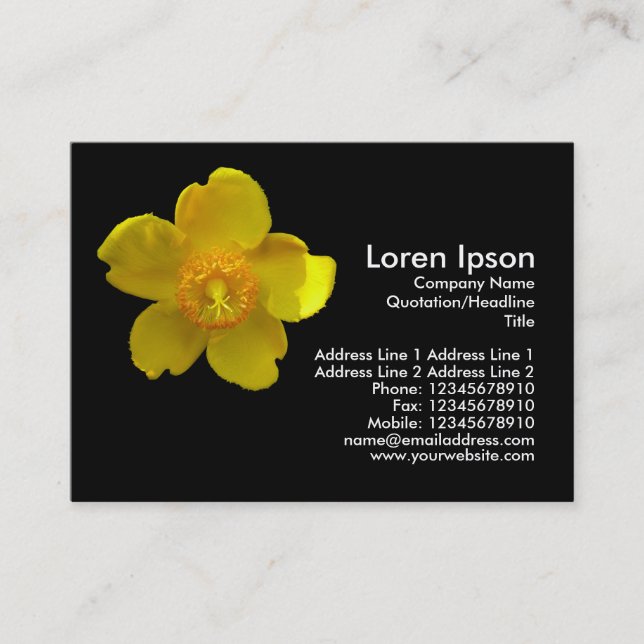 Tarjeta De Visita Hypericum Hidcote (Hierba de San Juan) (Anverso)