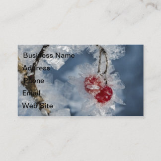 Tarjeta De Visita Ice Berries