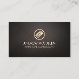 Tarjeta De Visita Icono de pestaña Dólar del consultor financiero