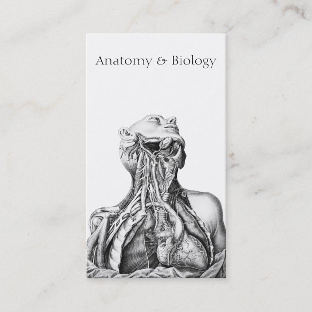 Tarjeta De Visita Ilustracion anatómico Ciencias Médicas (Anverso)