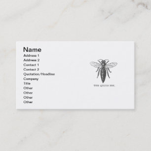 Tarjeta De Visita Ilustración antigua de insecto bug abeja reina