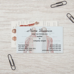 Tarjeta De Visita Ilustracion antiguo del sistema nervioso humano
