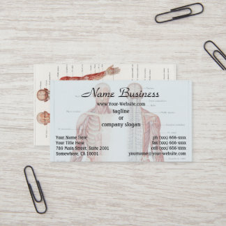 Tarjeta De Visita Ilustracion antiguo del sistema nervioso humano