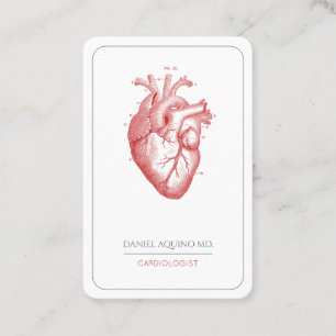 Tarjeta De Visita Ilustracion cardíaco anatómico Médica