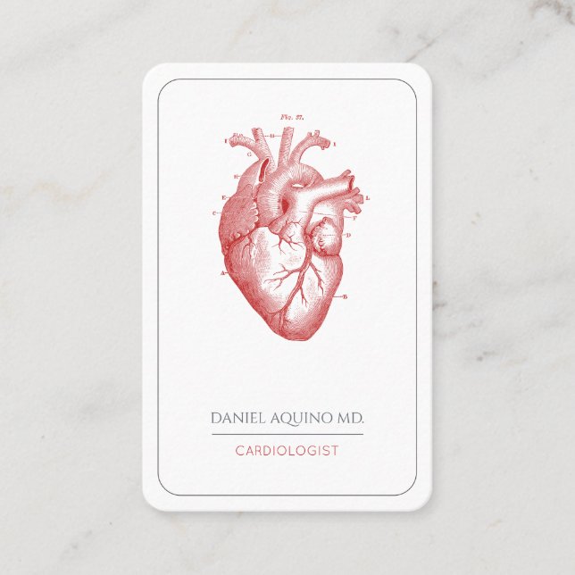 Tarjeta De Visita Ilustracion cardíaco anatómico Médica (Anverso)
