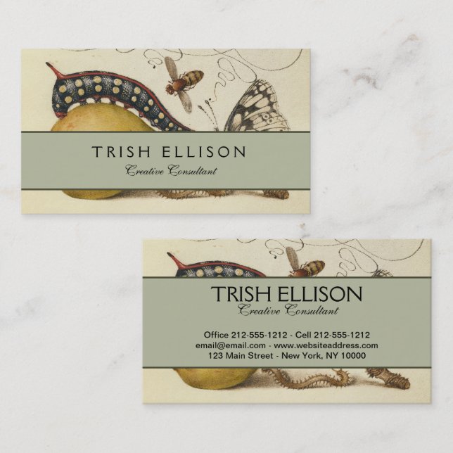 Tarjeta De Visita Ilustracion de insectos de fruta de mariposa de ab (Anverso / Reverso)