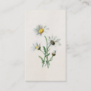 Tarjeta De Visita Ilustracion de la flor salvaje de las margaritas