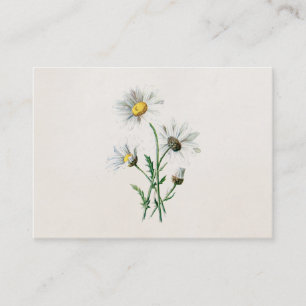 Tarjeta De Visita Ilustracion de la flor salvaje de las margaritas