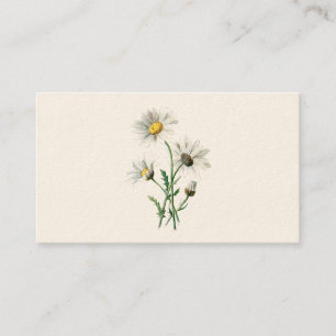 Tarjeta De Visita Ilustracion de la flor salvaje de las margaritas