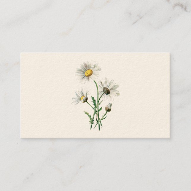 Tarjeta De Visita Ilustracion de la flor salvaje de las margaritas (Anverso)