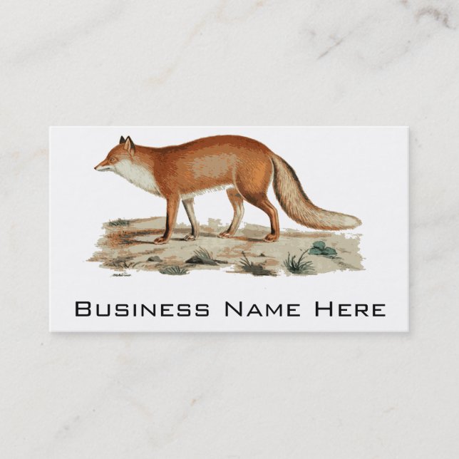 Tarjeta De Visita Ilustracion del Fox (Anverso)