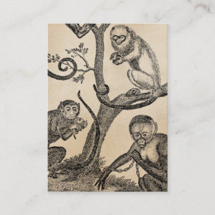Tarjeta De Visita Ilustracion del mono del vintage - monos 1800's