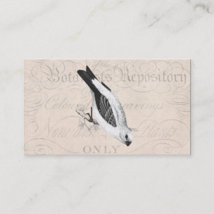 Tarjeta De Visita Ilustracion del pájaro de la canción de Grossbea
