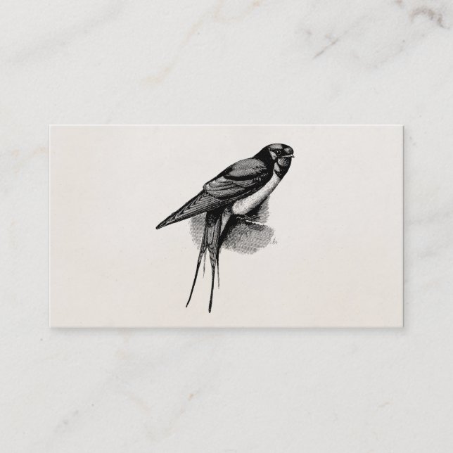 Tarjeta De Visita Ilustracion rápido del pájaro del trago de granero (Anverso)