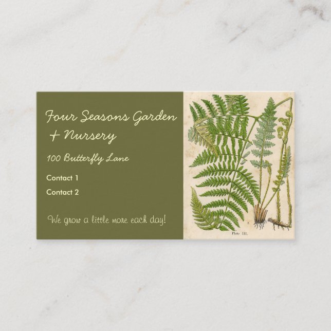 Tarjeta De Visita Ilustraciones botánicos de época (Anverso)