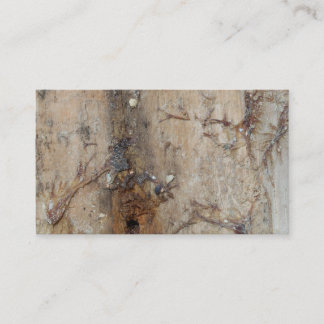 Tarjeta De Visita Imagen costera del Driftwood