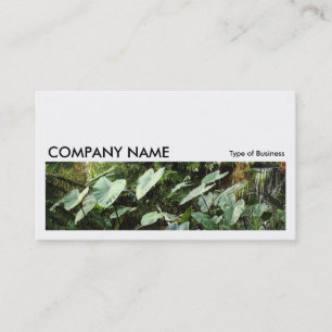 Tarjeta De Visita Imagen larga 0183 - Jardines Botánicos