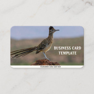 Tarjeta De Visita Imagen Naturaleza Desert Bird Roadrunner