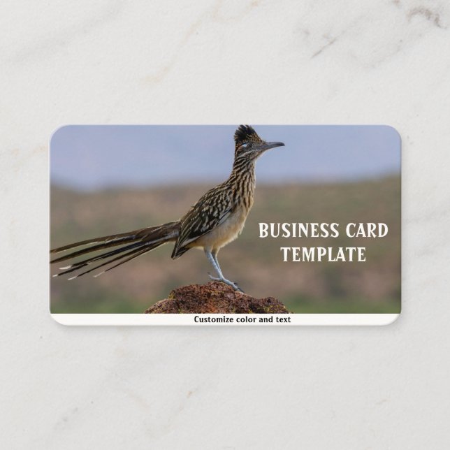 Tarjeta De Visita Imagen Naturaleza Desert Bird Roadrunner (Anverso)