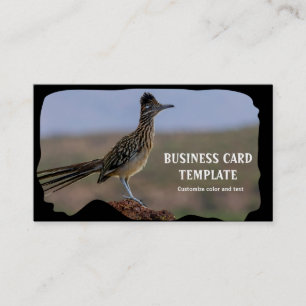 Tarjeta De Visita Imagen Naturaleza Desert Bird Roadrunner