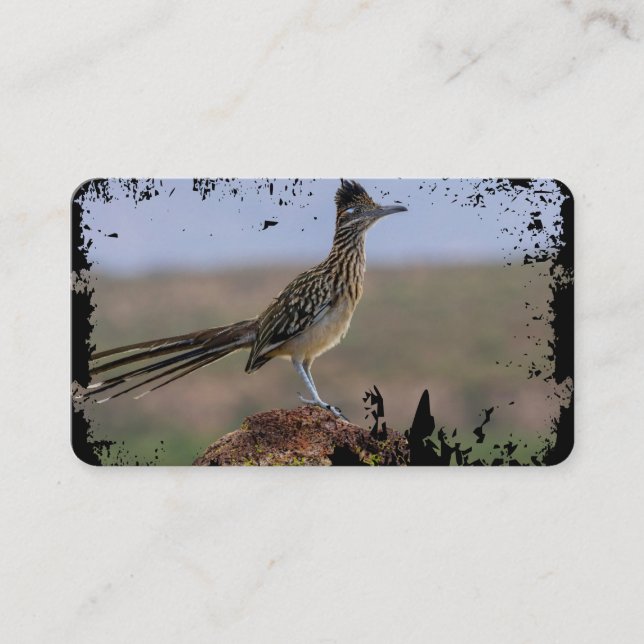Tarjeta De Visita Imagen Naturaleza Desert Bird Roadrunner (Anverso)
