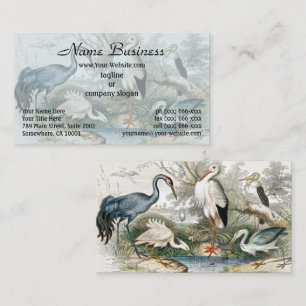 Tarjeta De Visita Impresión de arte de la naturaleza de garza, cigüe