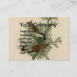 Tarjeta De Visita Impresión de ave de John James Audubon Cedar Waxwi