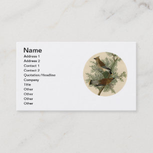 Tarjeta De Visita Impresión de ave de John James Audubon Cedar Waxwi