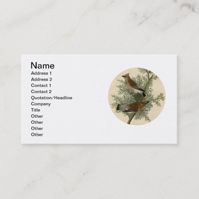 Tarjeta De Visita Impresión de ave de John James Audubon Cedar Waxwi (Anverso)