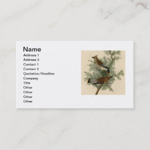 Tarjeta De Visita Impresión de ave de John James Audubon Cedar Waxwi