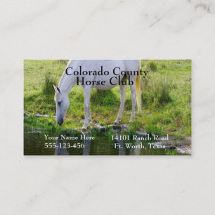 Tarjeta De Visita Impresión fotográfica de agua potable para caballo