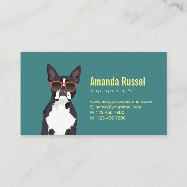 Tarjeta De Visita Inconformista fresco Boston blanco y negro Terrier (Anverso)