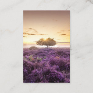 Tarjeta De Visita Increíble amanecer de un solo árbol y morado