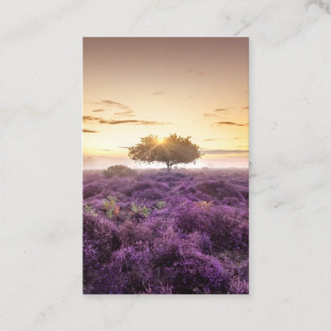 Tarjeta De Visita Increíble amanecer de un solo árbol y morado (Anverso)