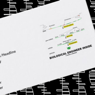 Tarjeta De Visita Ingeniero Biológico Interior (Transcripción)