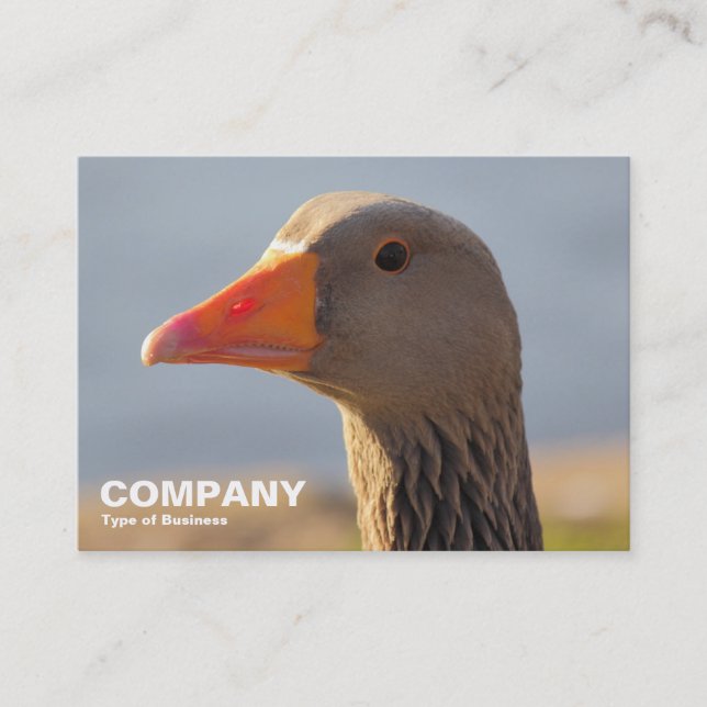 Tarjeta De Visita Inquisitivo Greylag Goose (Anverso)
