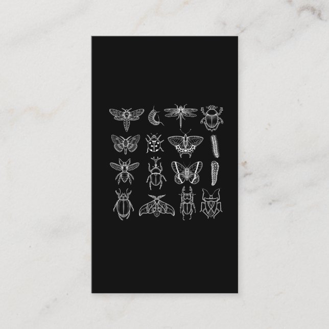 Tarjeta De Visita Insectióna Entomóloga divertida Entomología de Cat (Anverso)