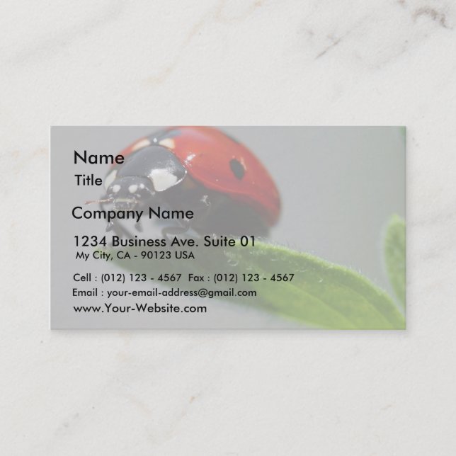 Tarjeta De Visita Insectos de las mariquitas (Anverso)